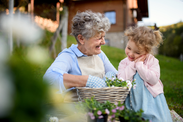 Happy senior grandmother with small granddaughter gardening outdoors in summer, laughing.