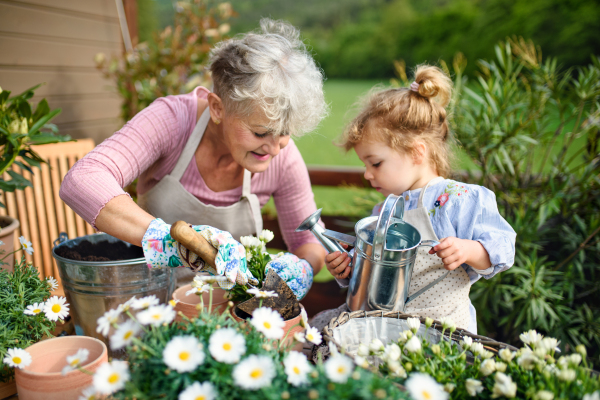 Happy senior grandmother with small granddaughter gardening on balcony in summer.