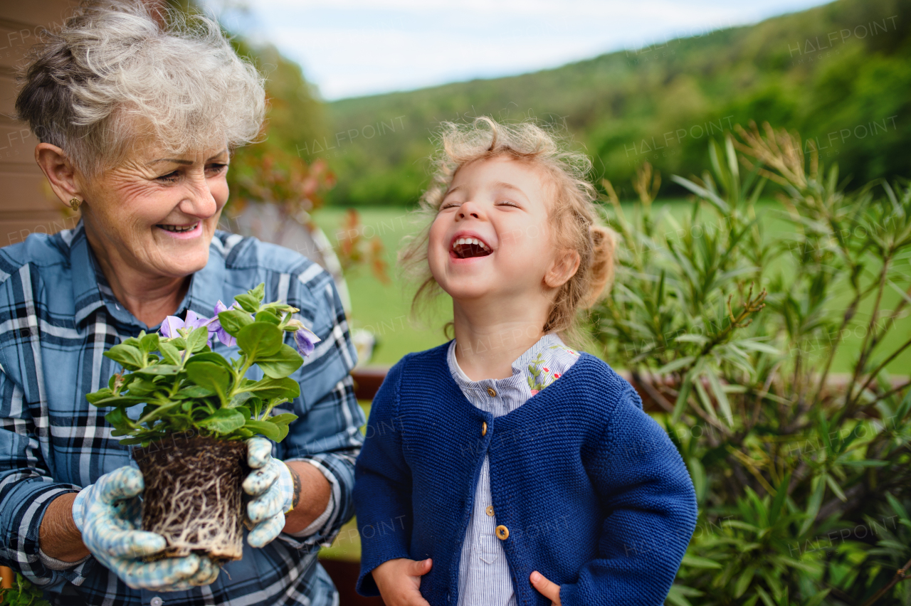 Happy senior grandmother with small granddaughter gardening on balcony in summer, laughing.