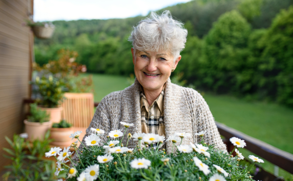 Portrait of senior woman gardening on balcony in summer, holding flowering plants.