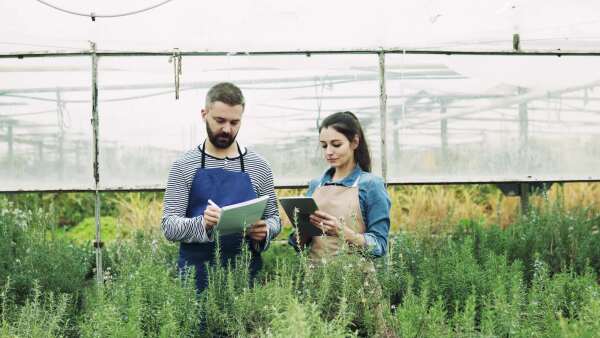 Young gardeners with tablet in a large greenhouse with pots of seedlings and plants.