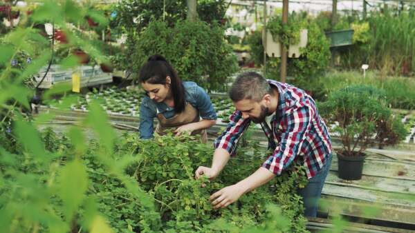 Young gardeners working in a large greenhouse with pots of seedlings and plants.