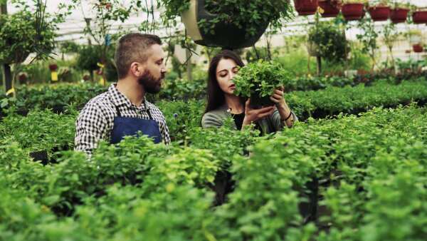 Young gardeners in a large greenhouse with pots of seedlings and plants.