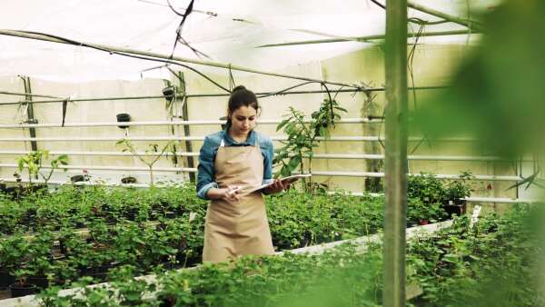 Young woman gardener in a large greenhouse with pots of seedlings and plants, making notes.