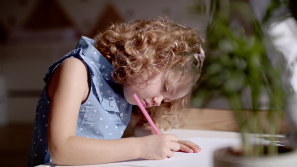 A concentrated cute small girl indoors at home, drawing pictures.