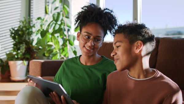 A multiracial teenage sister and brother sitting on sofa and using digital devices at home