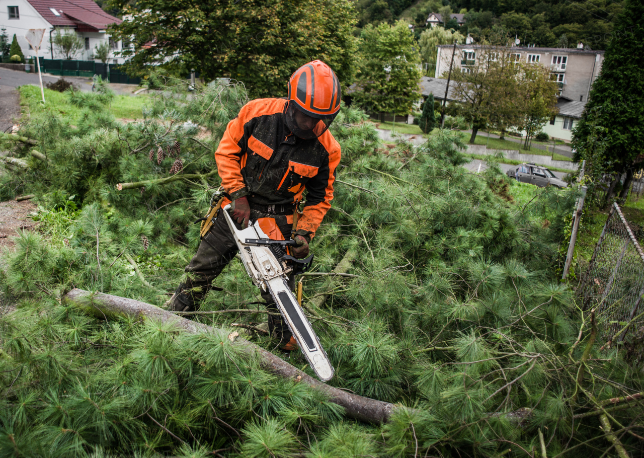 Unrecognizable lumberjack with chainsaw cutting tree branches in town.