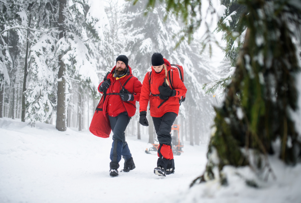 Paramedics from mountain rescue service walking and talking outdoors in winter in forest.