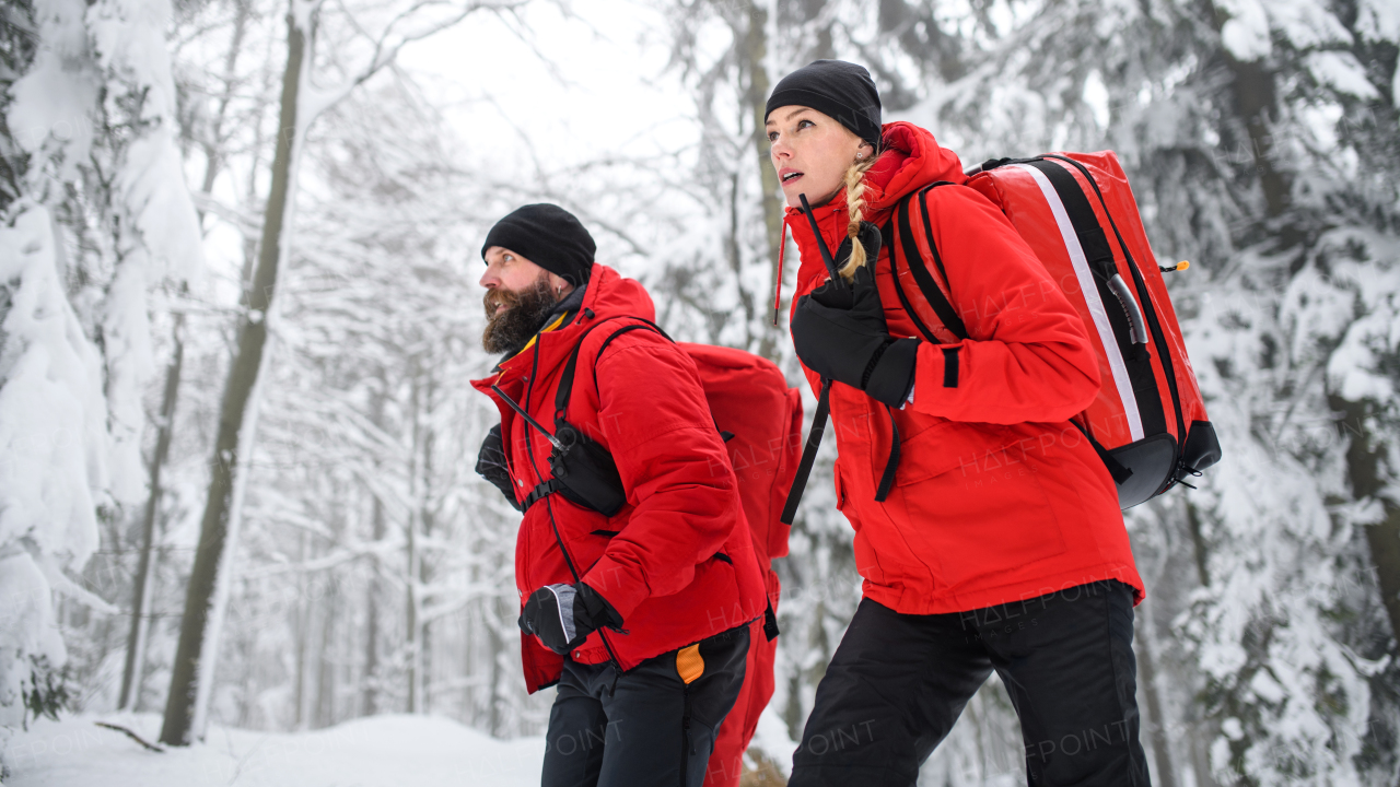 Low angle view of paramedics from a mountain rescue service walking outdoors in winter in forest.