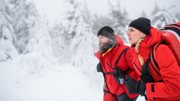 Paramedics from mountain rescue service walking and talking outdoors in winter in forest.