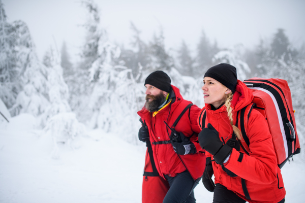 Paramedics from mountain rescue service walking and talking outdoors in winter in forest.