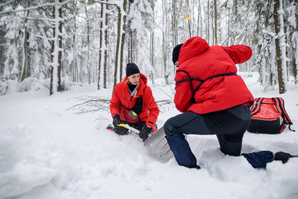 Mountain rescue service on operation outdoors in winter in forest, digging snow with shovels. Avalanche concept.