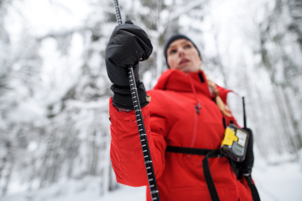 Low angle view of a mountain rescue service woman on operation outdoors in winter in forest, finding person after avalanche.