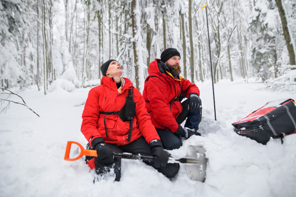 Mountain rescue service on operation outdoors in winter in forest, digging snow with shovels. Avalanche concept.