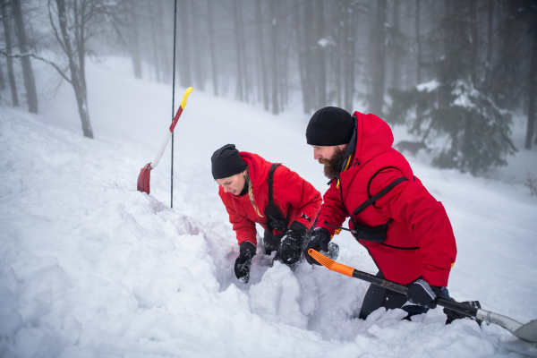 Mountain rescue service on operation outdoors in winter in forest, digging snow with shovels. Avalanche concept.