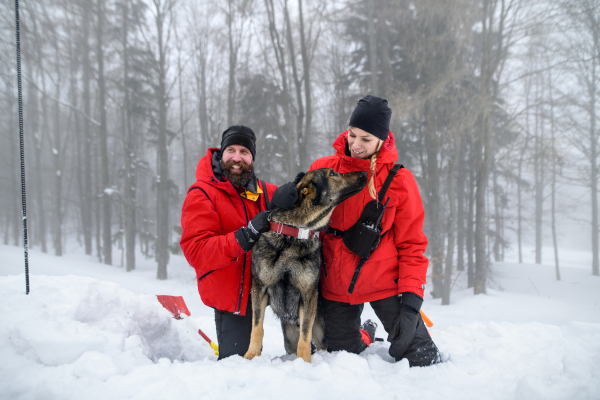 Mountain rescue service with dog on operation outdoors in winter in forest, digging snow with shovels.