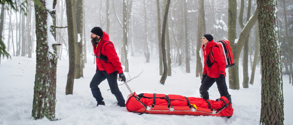 Paramedics from mountain rescue service provide operation outdoors in winter in forest, pulling injured person in stretcher.