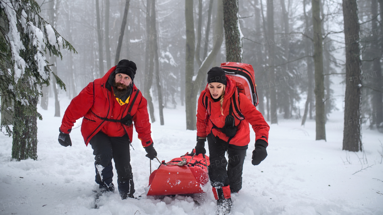 Paramedics from mountain rescue service provide operation outdoors in winter in forest, pulling injured person in stretcher.