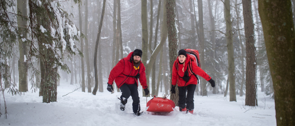 Paramedics from mountain rescue service provide operation outdoors in winter in forest, pulling injured person in stretcher.