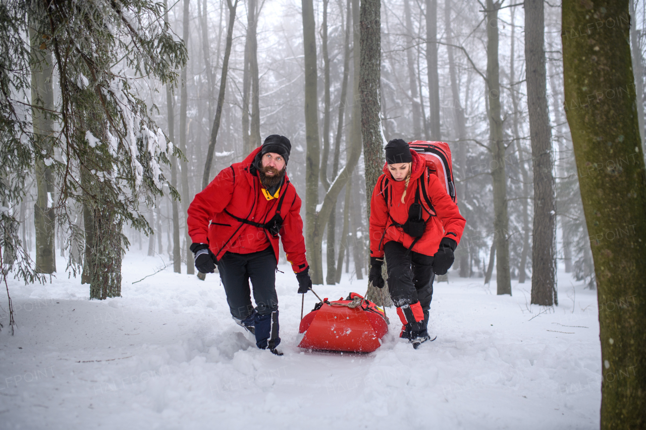 Paramedics from mountain rescue service provide operation outdoors in winter in forest, pulling injured person in stretcher.