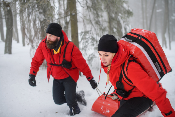 Paramedics from mountain rescue service provide operation outdoors in winter in forest, pulling injured person in stretcher.