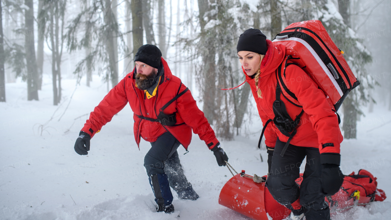 Paramedics from mountain rescue service provide operation outdoors in winter in forest, injured person in stretcher.