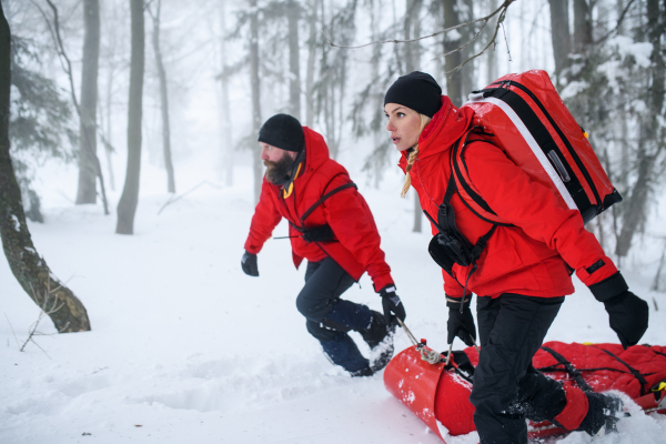 Paramedics from mountain rescue service provide operation outdoors in winter in forest, pulling injured person in stretcher.