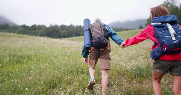 Rear view of senior pensioner couple hikers walking in nature, holding hands and talking.