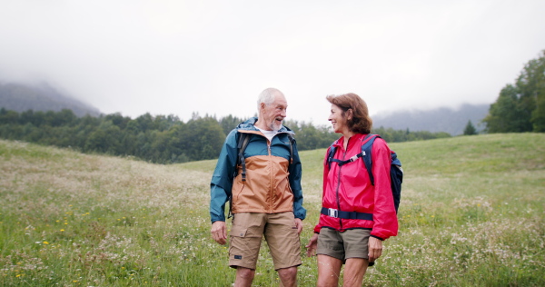 Senior pensioner couple hikers walking in nature, holding hands and talking.