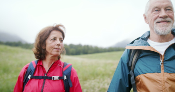 Senior pensioner couple hikers walking in nature, holding hands and talking.