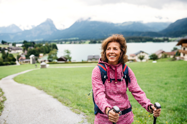 A senior woman with nordic walking poles hiking in nature, resting.