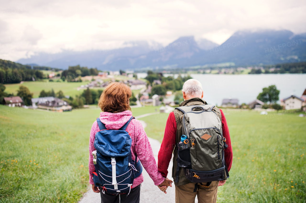 A rear view of active senior pensioner couple hiking in nature, holding hands.