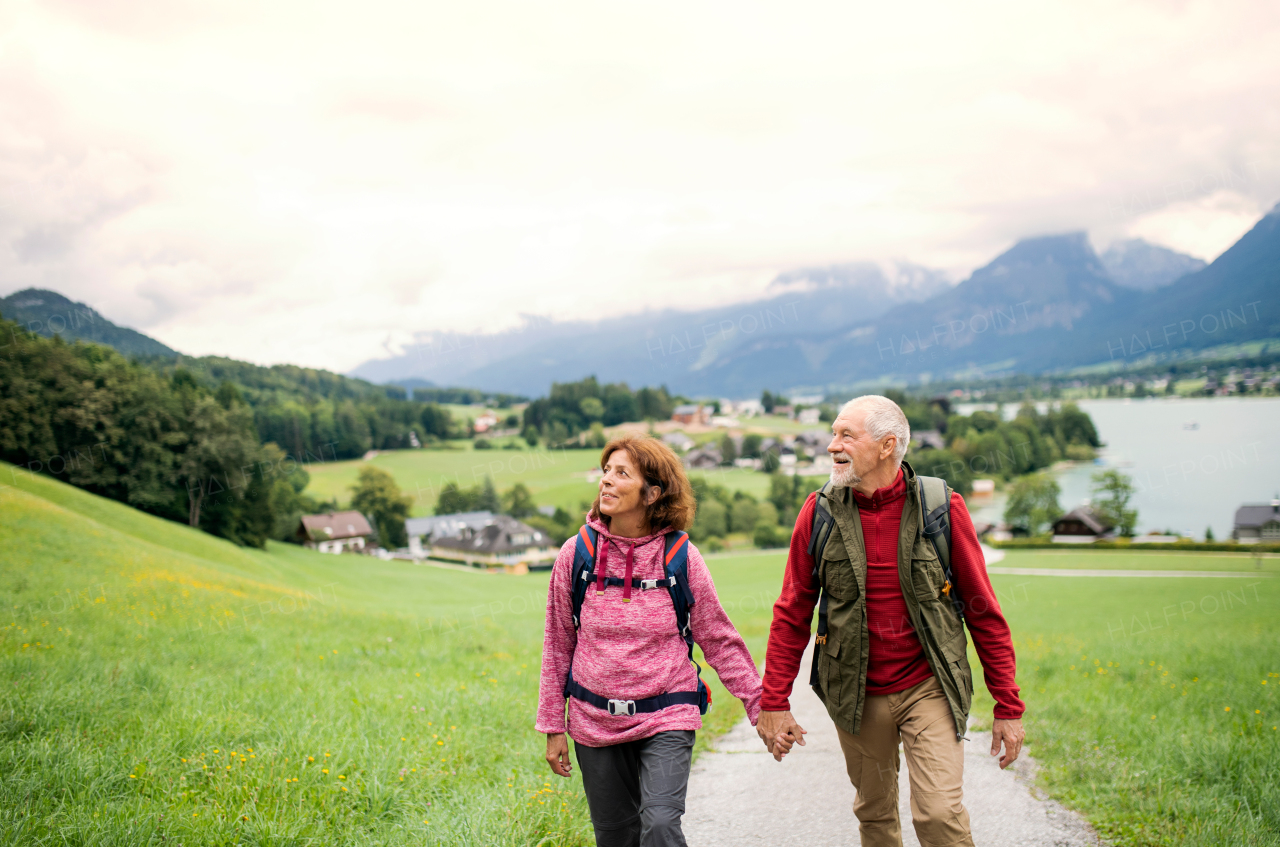 A front view of active senior pensioner couple hiking in nature, holding hands.