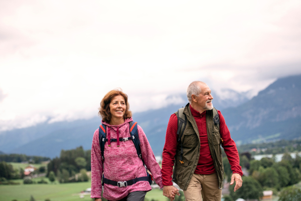 A front view of active senior pensioner couple hiking in nature, holding hands.