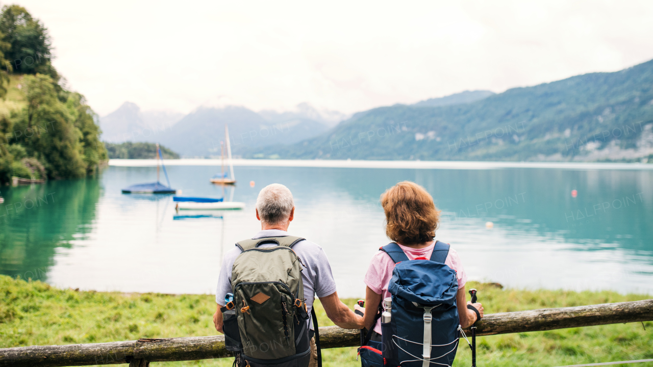 A rear view of senior pensioner couple standing by lake in nature. Copy space.