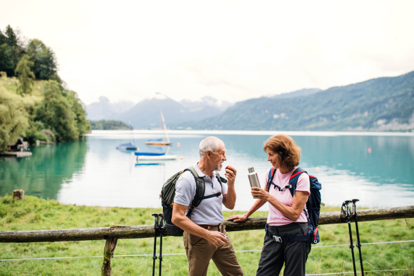 A happy senior pensioner couple with nordic walking poles hiking in nature, resting.