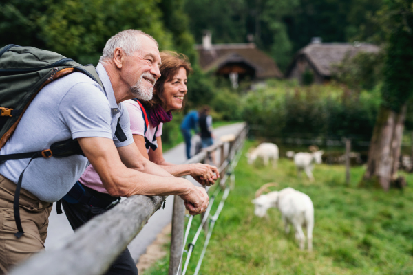 An active senior pensioner couple hiking in nature, resting. Copy space.