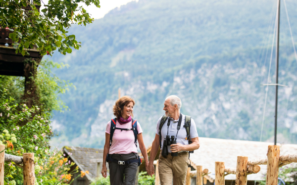 A happy senior pensioner couple with binoculars hiking, resting. Copy space.