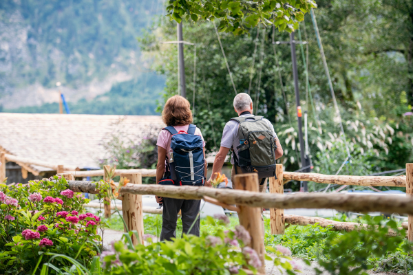 A rear view of senior pensioner couple hiking, walking and holding hands.