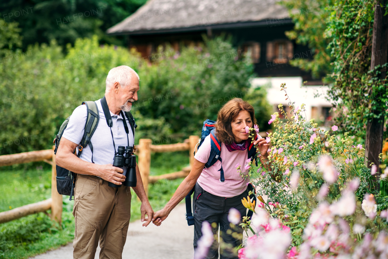 A happy senior pensioner couple with binoculars hiking, holding hands.