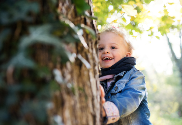 A portrait of a small toddler girl standing in autumn forest, leaning on a tree. Copy space.