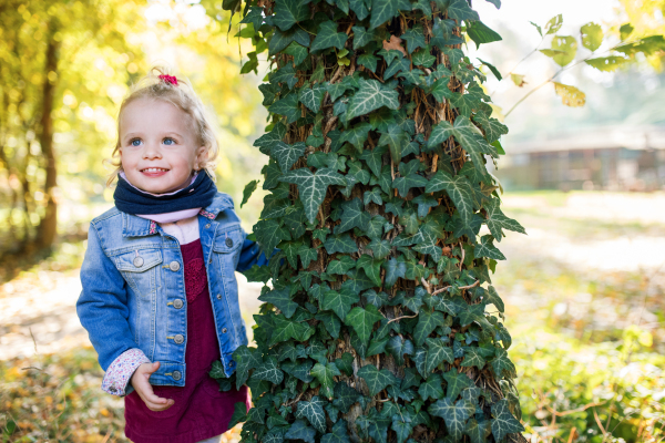 Front view portrait of a happy small toddler girl standing in autumn forest.