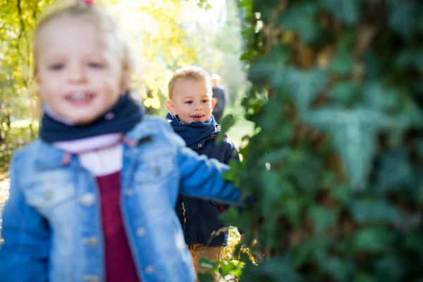 Happy twin toddler sibling boy and girl with parents on a walk in autumn forest.