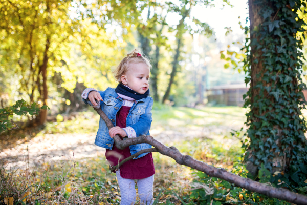 Front view portrait of a small toddler girl standing in autumn forest, holding wooden stick.