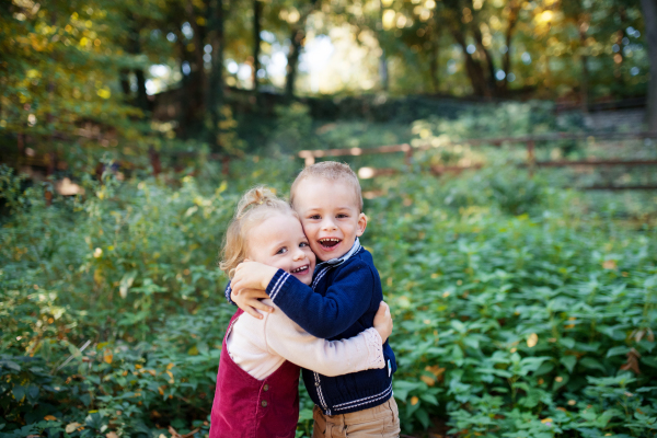 A portrait of twin toddler sibling boy and girl standing in autumn forest, hugging.