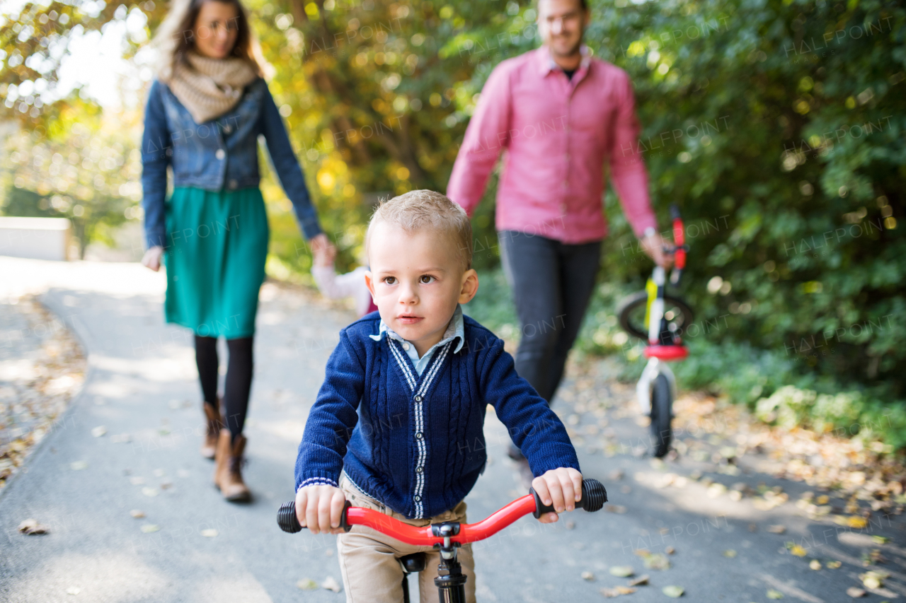 A beautiful young family with small twins on a walk in autumn forest, riding balance bikes.