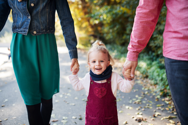 Midsection of young family with small toddler daughter on a walk in autumn forest.