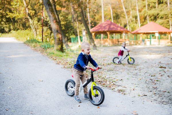 Twin toddler sibling boy and girl in autumn park, riding balance bike on a path.