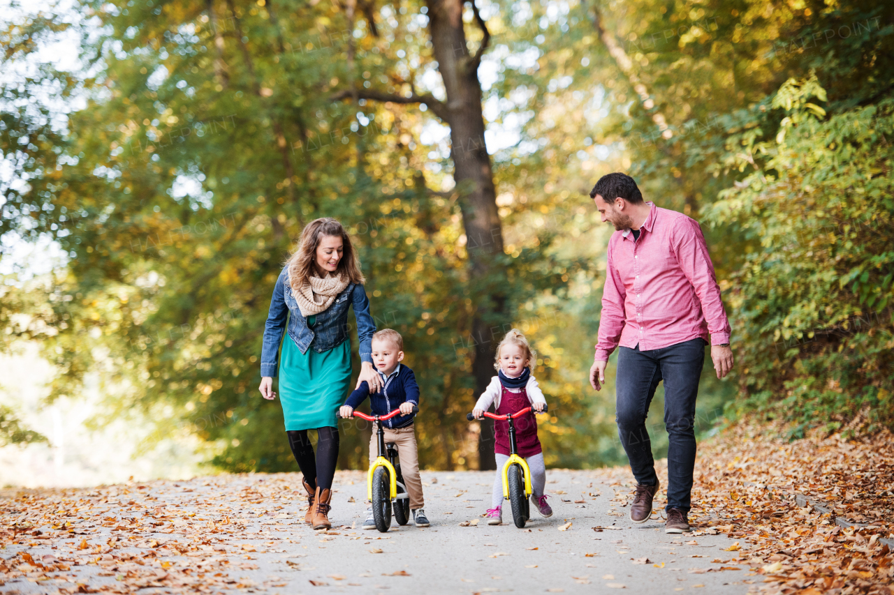 A beautiful young family with small twins on a walk in autumn forest, riding balance bikes.