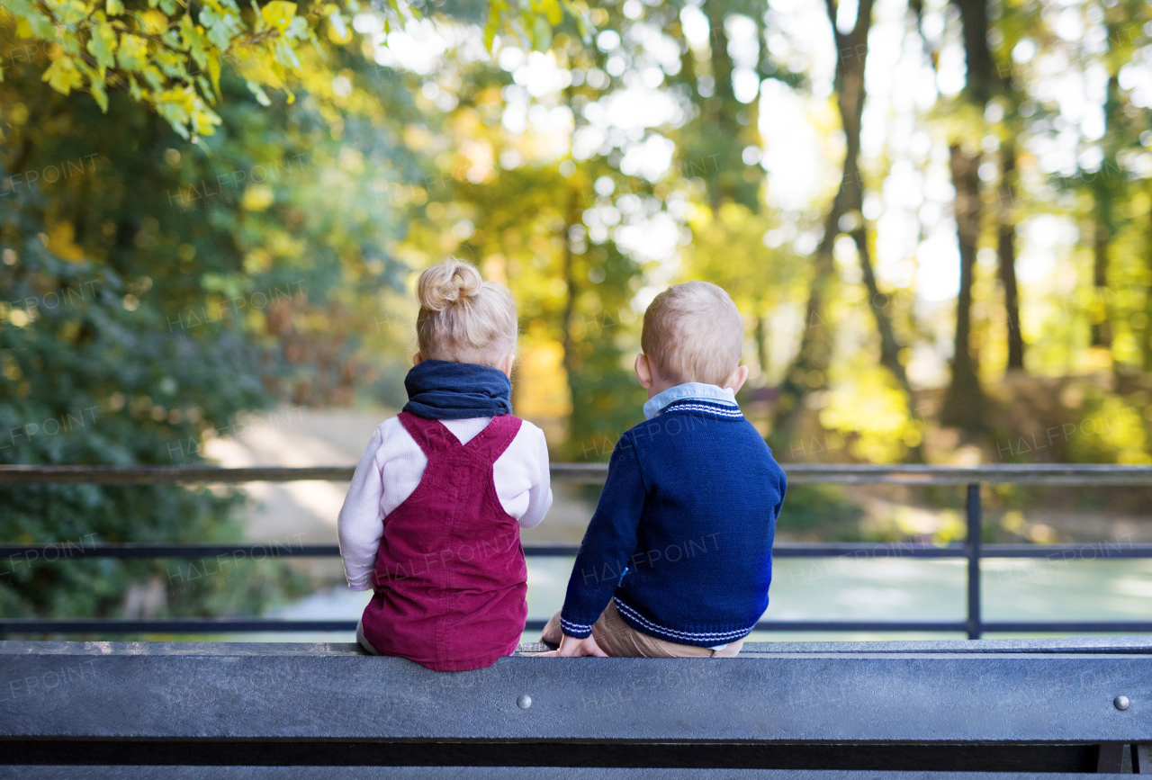 A rear view of twin toddler sibling boy and girl sitting in autumn forest.